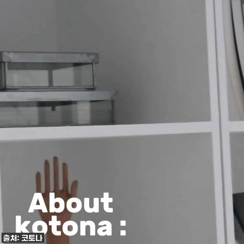 이거 찐이야? 코토나 홈바디 타월 다크 네이비 5P, 직접 써보니 호텔 스파 부럽지 않아요! 22 이거 찐이야? 코토나 홈바디 타월 다 관련 이미지 10