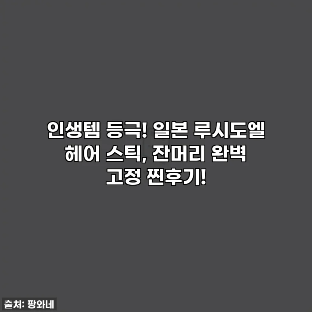 인생템 등극! 일본 루시도엘 헤어 스틱, 잔머리 완벽 고정 찐후기!