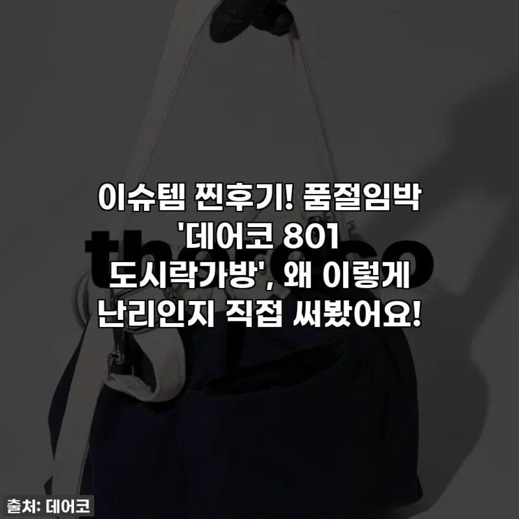 이슈템 찐후기! 품절임박 '데어코 801 도시락가방', 왜 이렇게 난리인지 직접 써봤어요!