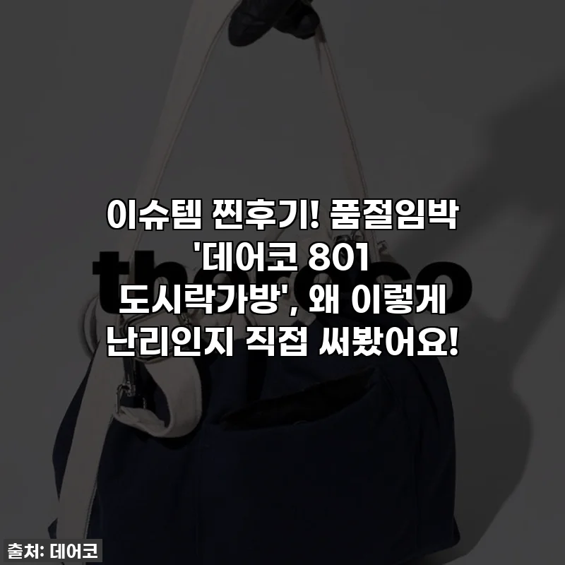 이슈템 찐후기! 품절임박 '데어코 801 도시락가방', 왜 이렇게 난리인지 직접 써봤어요!
