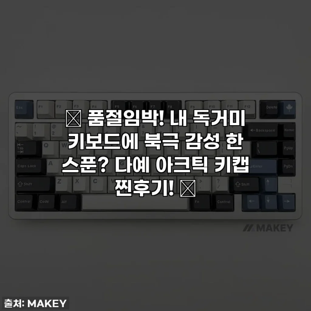 ✨ 품절임박! 내 독거미 키보드에 북극 감성 한 스푼? 다예 아크틱 키캡 찐후기! ✨