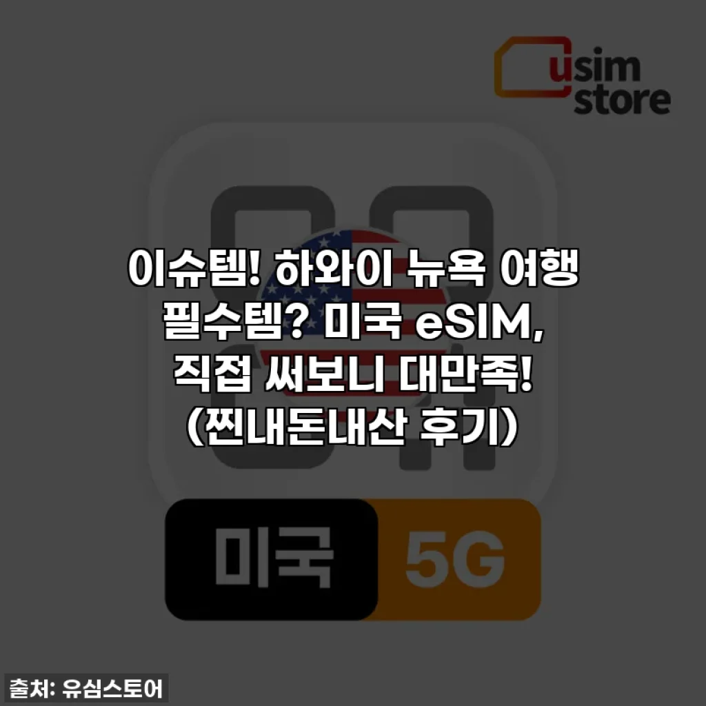 이슈템! 하와이 뉴욕 여행 필수템? 미국 eSIM, 직접 써보니 대만족! (찐내돈내산 후기)