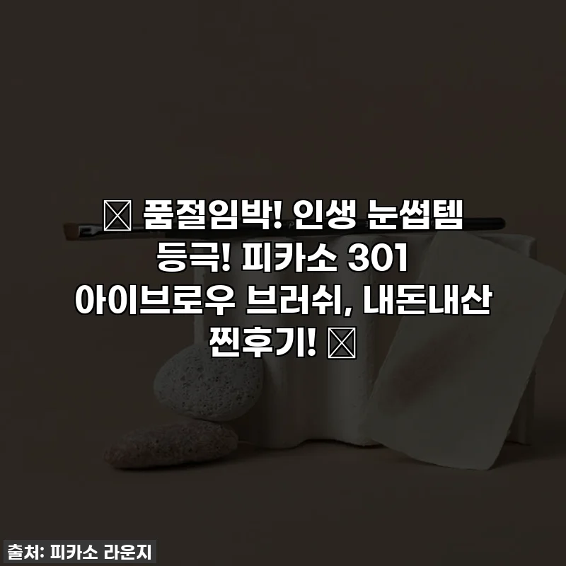 ✨ 품절임박! 인생 눈썹템 등극! 피카소 301 아이브로우 브러쉬, 내돈내산 찐후기! ✨