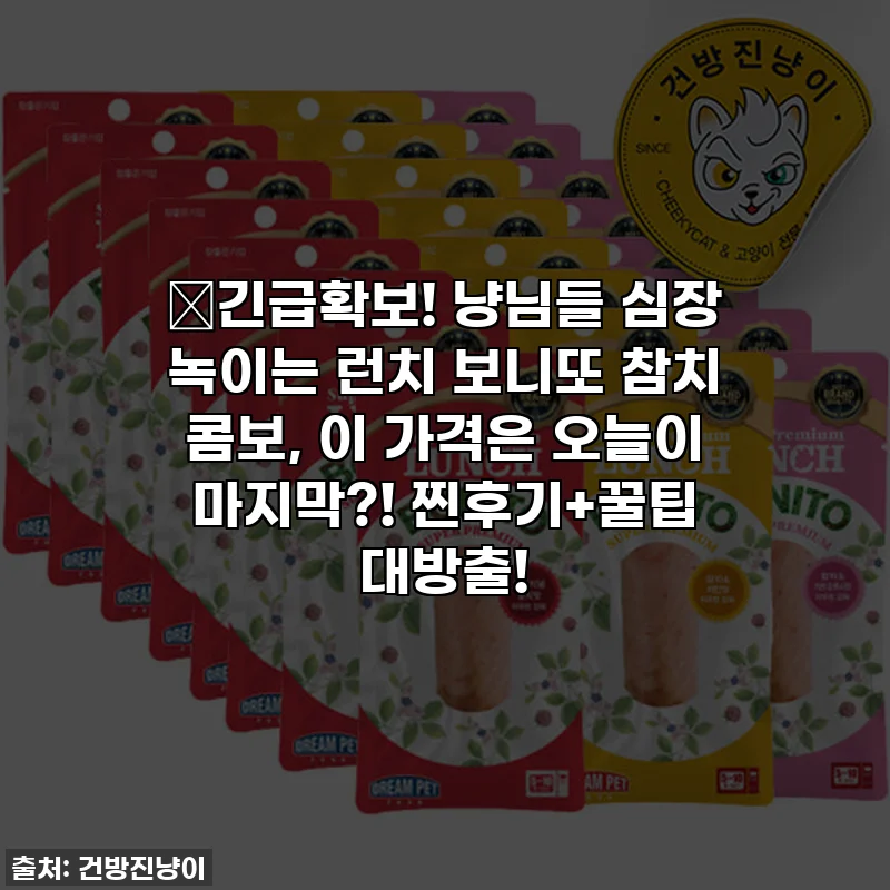 🎁긴급확보! 냥님들 심장 녹이는 런치 보니또 참치 콤보, 이 가격은 오늘이 마지막?! 찐후기+꿀팁 대방출!