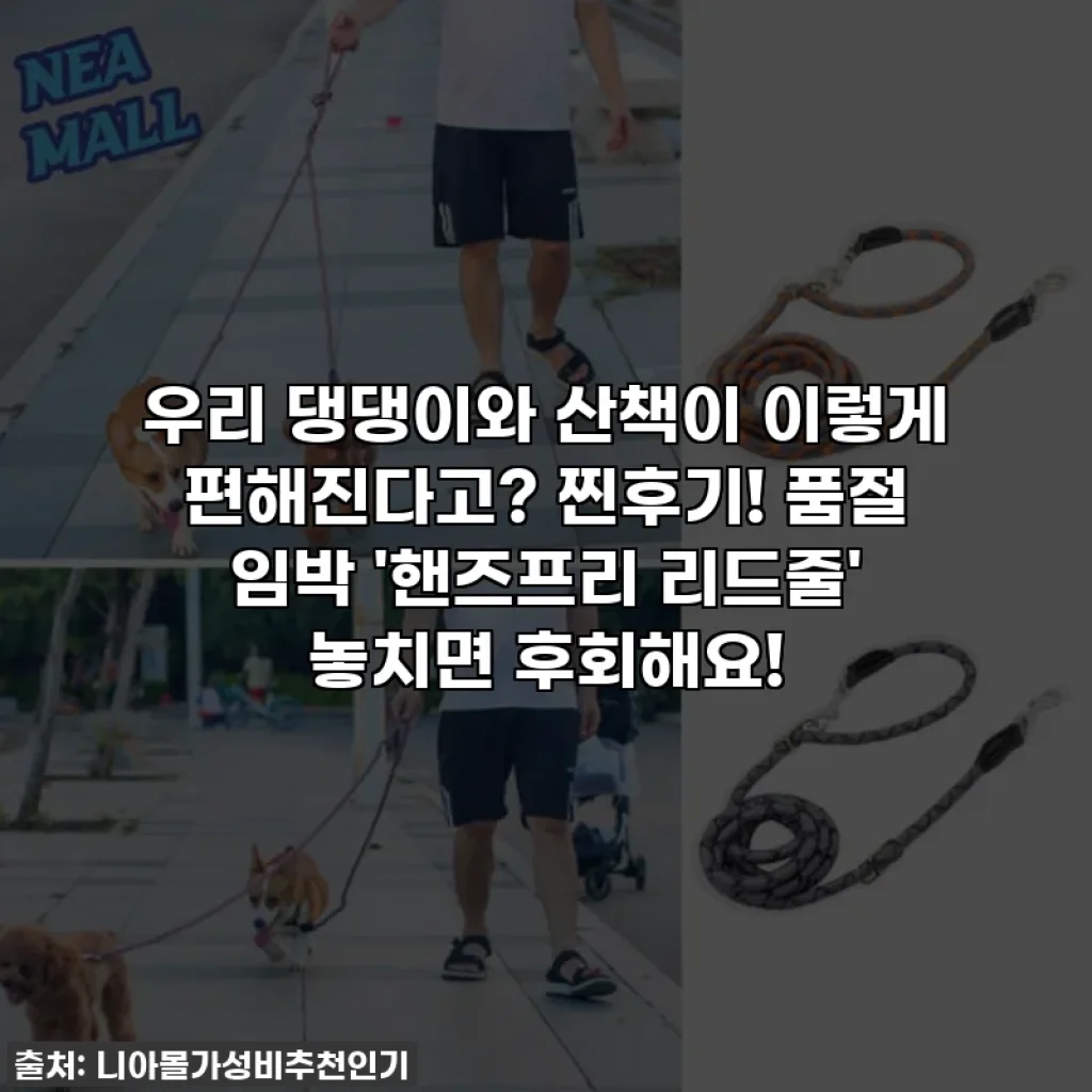 우리 댕댕이와 산책이 이렇게 편해진다고? 찐후기! 품절 임박 '핸즈프리 리드줄' 놓치면 후회해요!