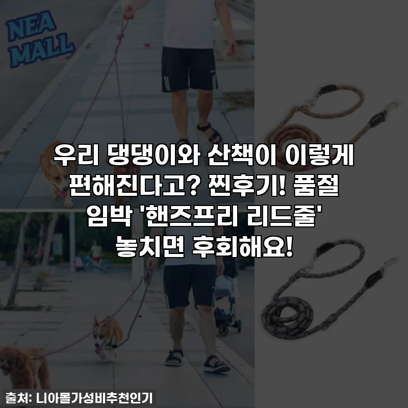우리 댕댕이와 산책이 이렇게 편해진다고? 찐후기! 품절 임박 '핸즈프리 리드줄' 놓치면 후회해요!