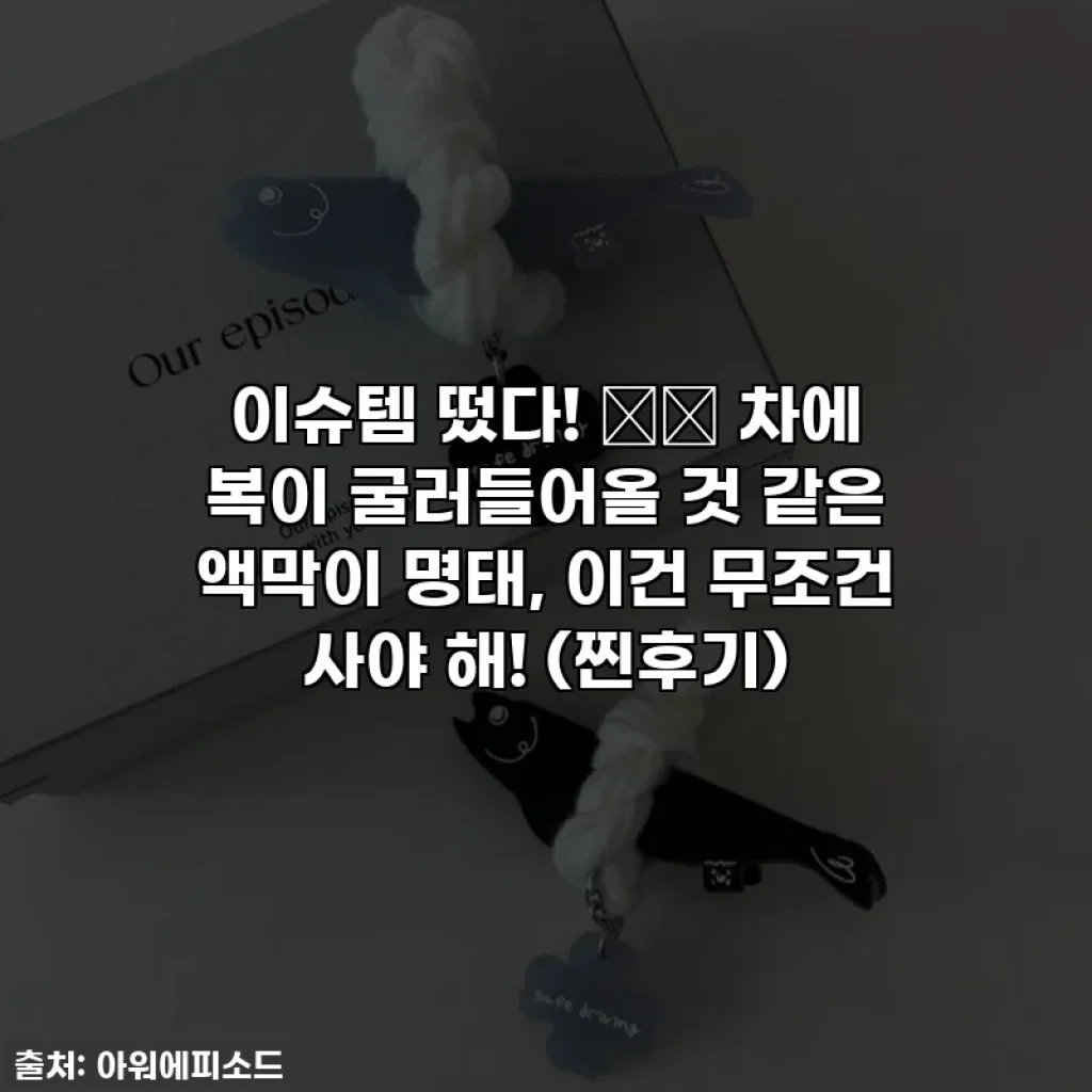 이슈템 떴다! 🚗✨ 차에 복이 굴러들어올 것 같은 액막이 명태, 이건 무조건 사야 해! (찐후기)