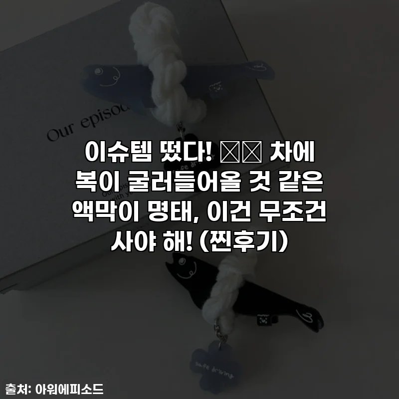 이슈템 떴다! 🚗✨ 차에 복이 굴러들어올 것 같은 액막이 명태, 이건 무조건 사야 해! (찐후기)