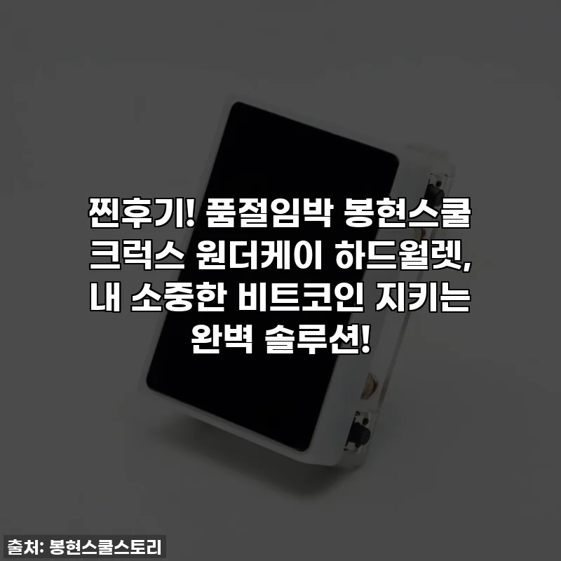 찐후기! 품절임박 봉현스쿨 크럭스 원더케이 하드월렛, 내 소중한 비트코인 지키는 완벽 솔루션!