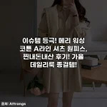 Home 53 이슈템 등극! 메리 워싱 코튼 A라인 셔츠 원피스, 찐내돈내산 후기! 가을 데일리룩 종결템!