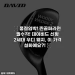 Home 51 🔥 품절임박! 찐골퍼라면 필수각! 데이비드 신형 2세대 우디 웨지, 이 가격 실화예요?! 🔥