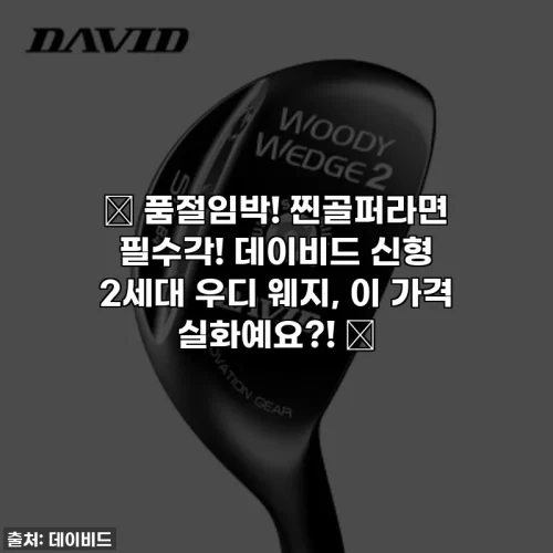 Home 63 🔥 품절임박! 찐골퍼라면 필수각! 데이비드 신형 2세대 우디 웨지, 이 가격 실화예요?! 🔥