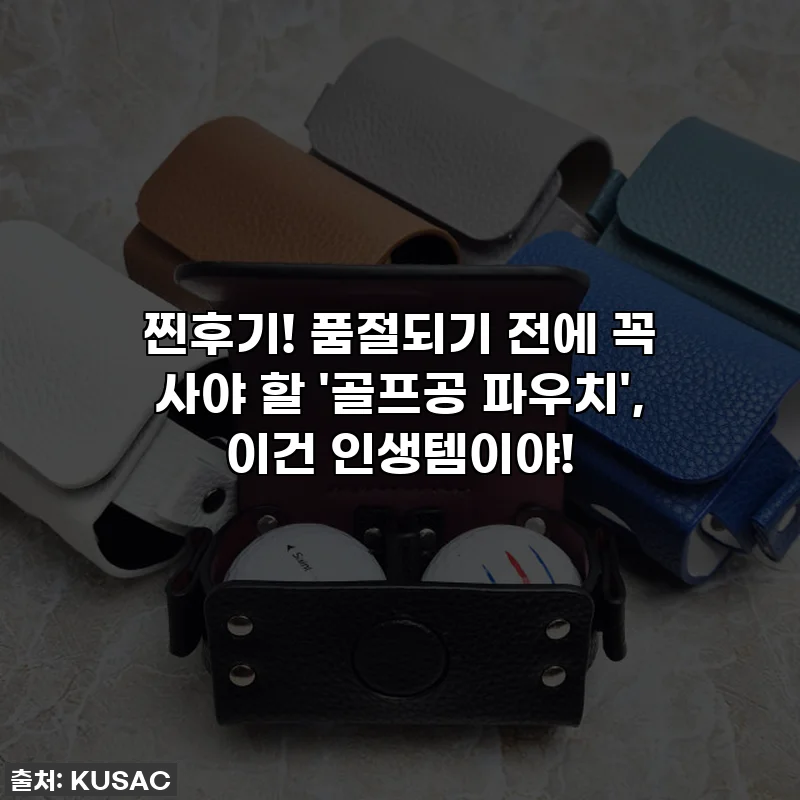 찐후기! 품절되기 전에 꼭 사야 할 '골프공 파우치', 이건 인생템이야!