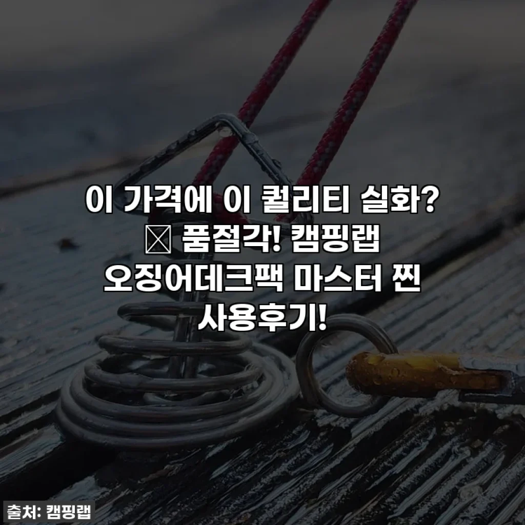 이 가격에 이 퀄리티 실화? 😲 품절각! 캠핑랩 오징어데크팩 마스터 찐 사용후기!