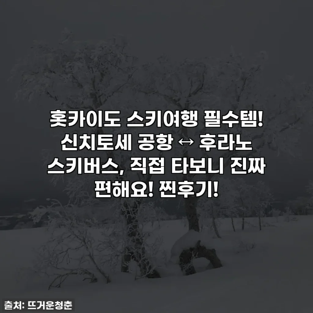홋카이도 스키여행 필수템! 신치토세 공항 ↔ 후라노 스키버스, 직접 타보니 진짜 편해요! 찐후기!