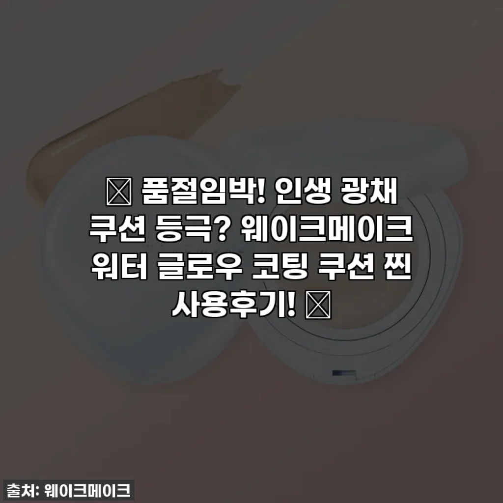 ✨ 품절임박! 인생 광채 쿠션 등극? 웨이크메이크 워터 글로우 코팅 쿠션 찐 사용후기! ✨