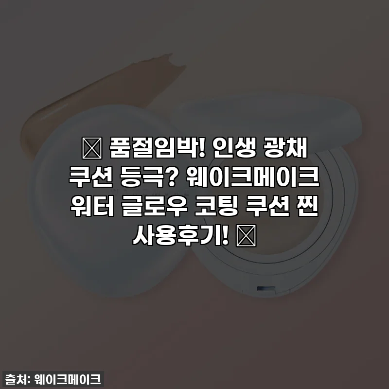 ✨ 품절임박! 인생 광채 쿠션 등극? 웨이크메이크 워터 글로우 코팅 쿠션 찐 사용후기! ✨