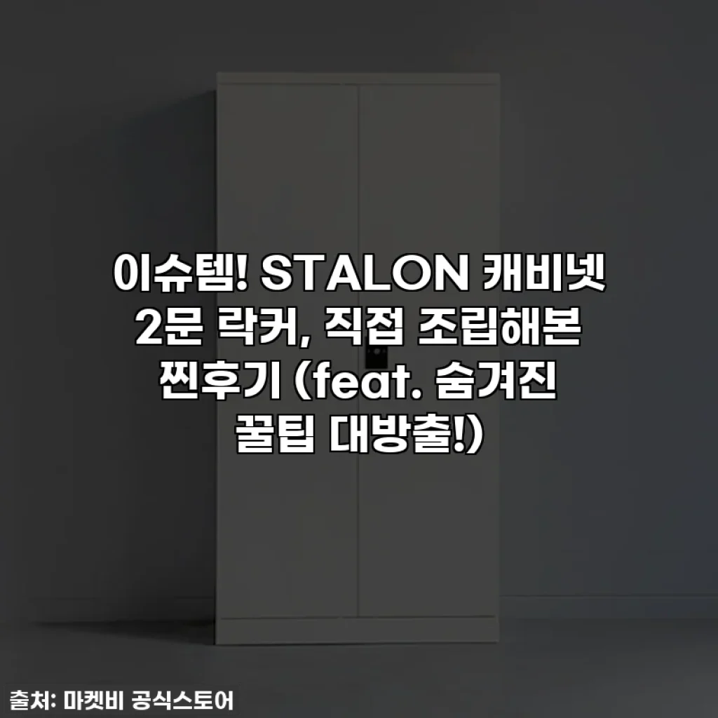 이슈템! STALON 캐비넷 2문 락커, 직접 조립해본 찐후기 (feat. 숨겨진 꿀팁 대방출!)
