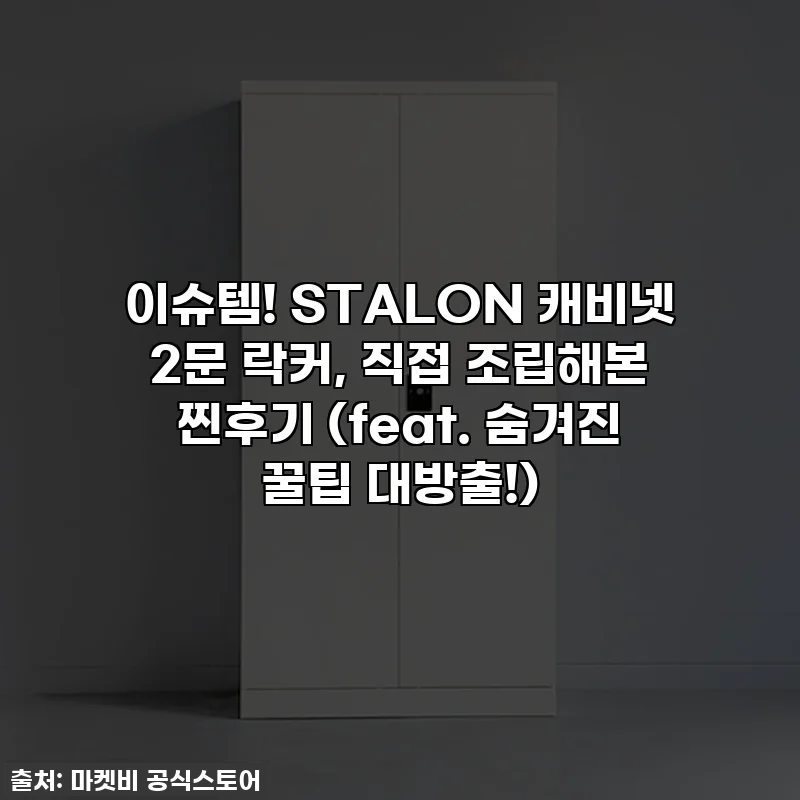 이슈템! STALON 캐비넷 2문 락커, 직접 조립해본 찐후기 (feat. 숨겨진 꿀팁 대방출!)