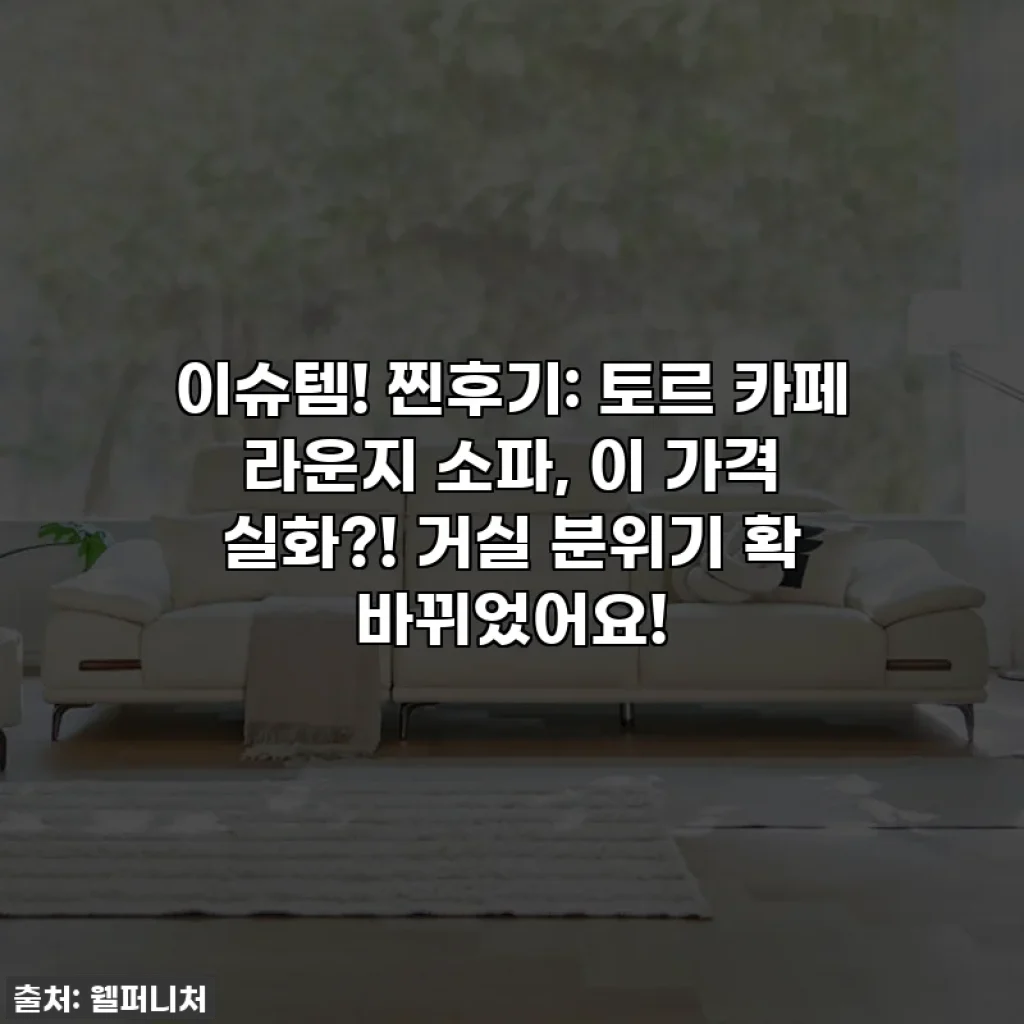 이슈템! 찐후기: 토르 카페 라운지 소파, 이 가격 실화?! 거실 분위기 확 바뀌었어요!