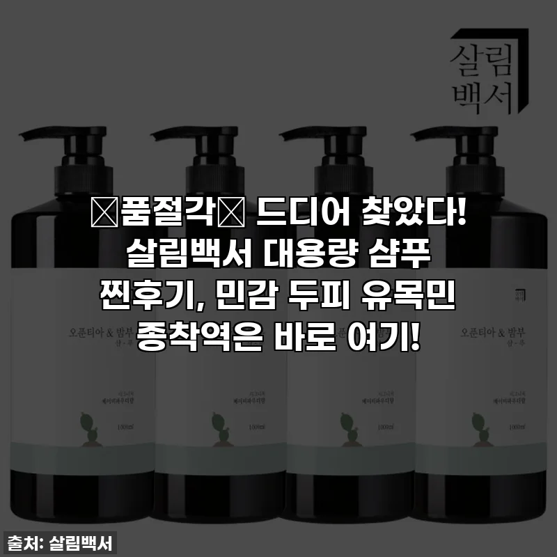 🚨품절각🚨 드디어 찾았다! 살림백서 대용량 샴푸 찐후기, 민감 두피 유목민 종착역은 바로 여기!
