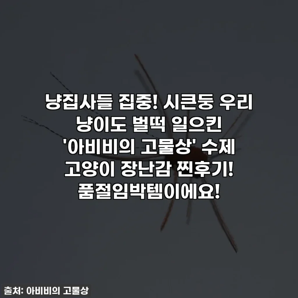 냥집사들 집중! 시큰둥 우리 냥이도 벌떡 일으킨 '아비비의 고물상' 수제 고양이 장난감 찐후기! 품절임박템이에요!