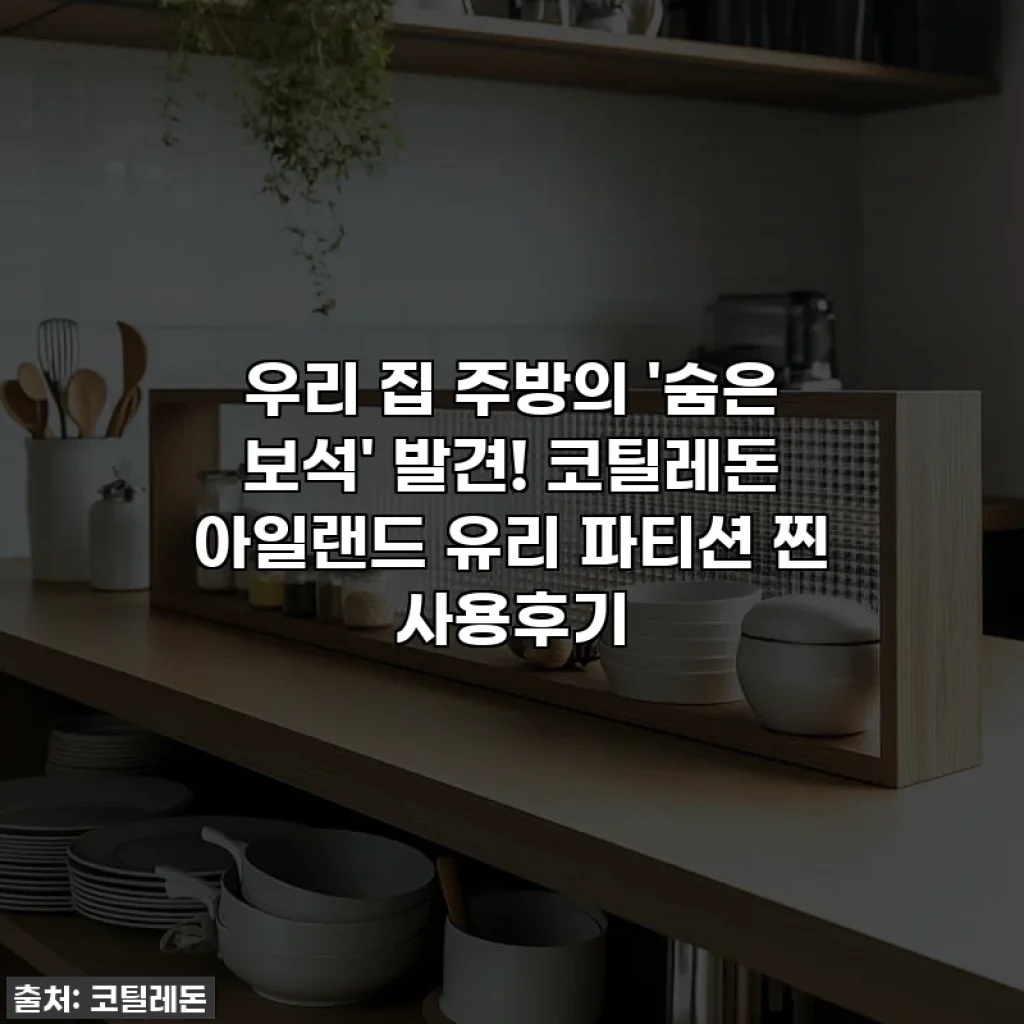 우리 집 주방의 '숨은 보석' 발견! 코틸레돈 아일랜드 유리 파티션 찐 사용후기