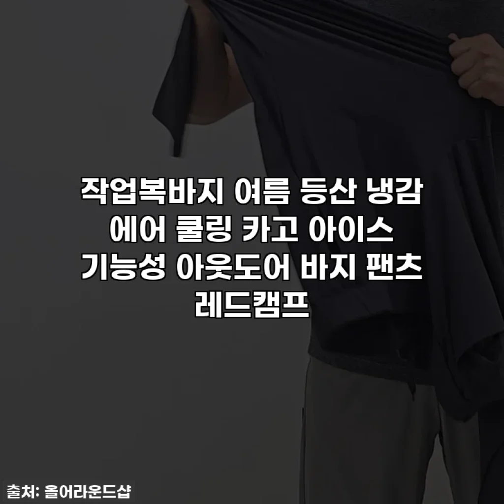 작업복바지 여름 등산 냉감 에어 쿨링 카고 아이스 기능성 아웃도어 바지 팬츠 레드캠프