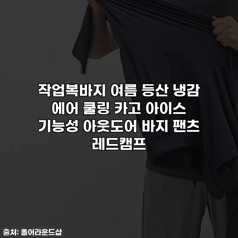작업복바지 여름 등산 냉감 에어 쿨링 카고 아이스 기능성 아웃도어 바지 팬츠 레드캠프