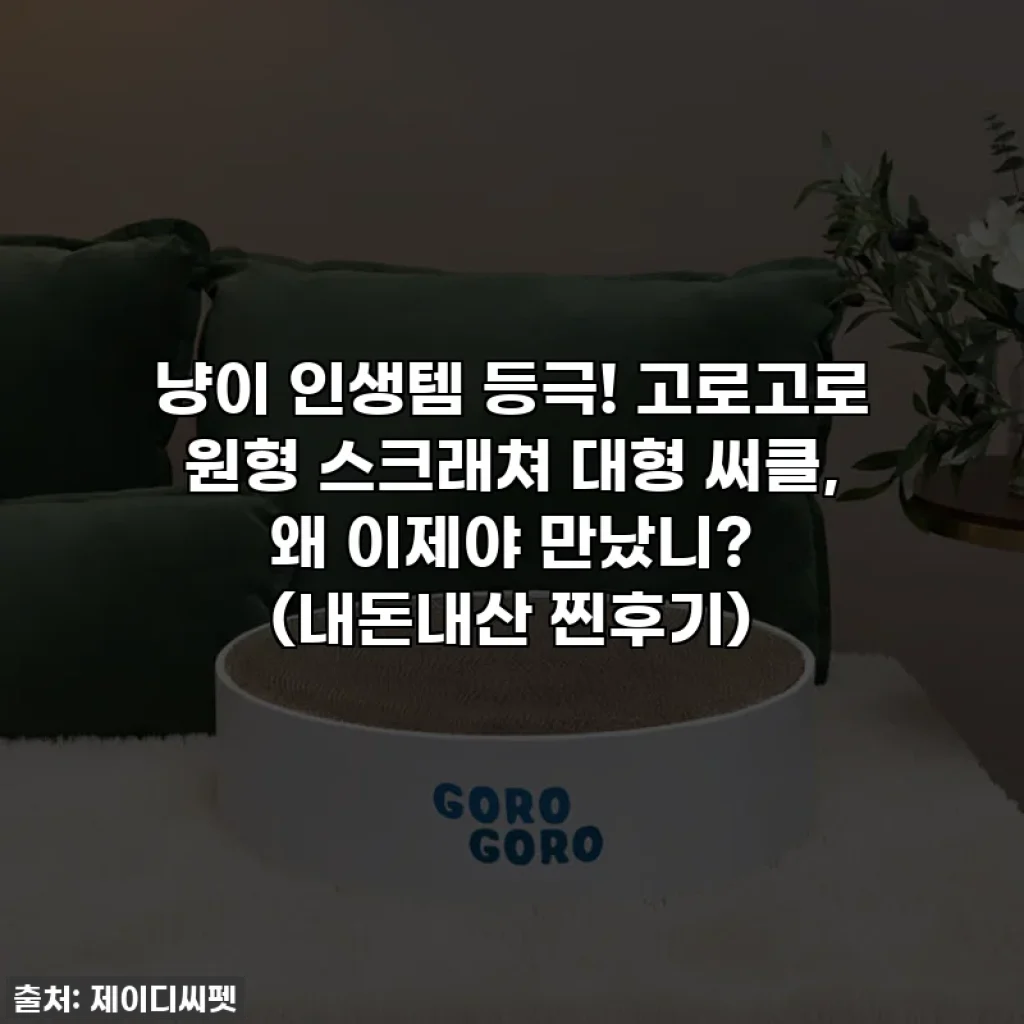 냥이 인생템 등극! 고로고로 원형 스크래쳐 대형 써클, 왜 이제야 만났니? (내돈내산 찐후기)