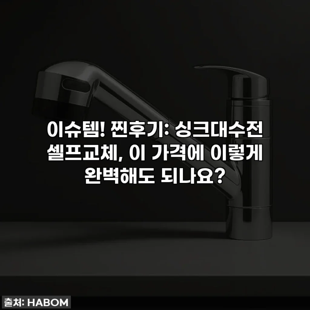 이슈템! 찐후기: 싱크대수전 셀프교체, 이 가격에 이렇게 완벽해도 되나요?
