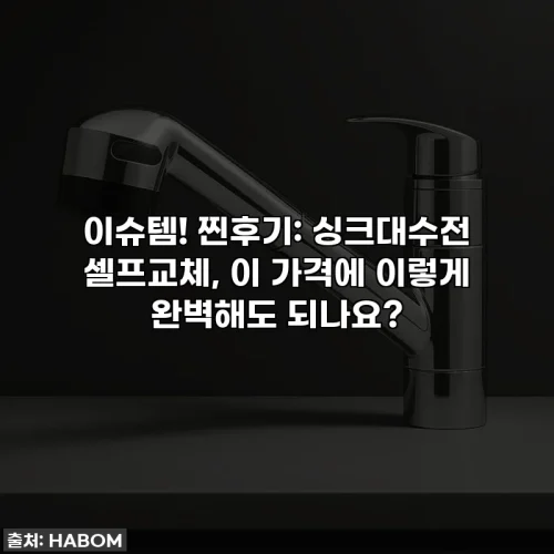 Home 61 이슈템! 찐후기: 싱크대수전 셀프교체, 이 가격에 이렇게 완벽해도 되나요?