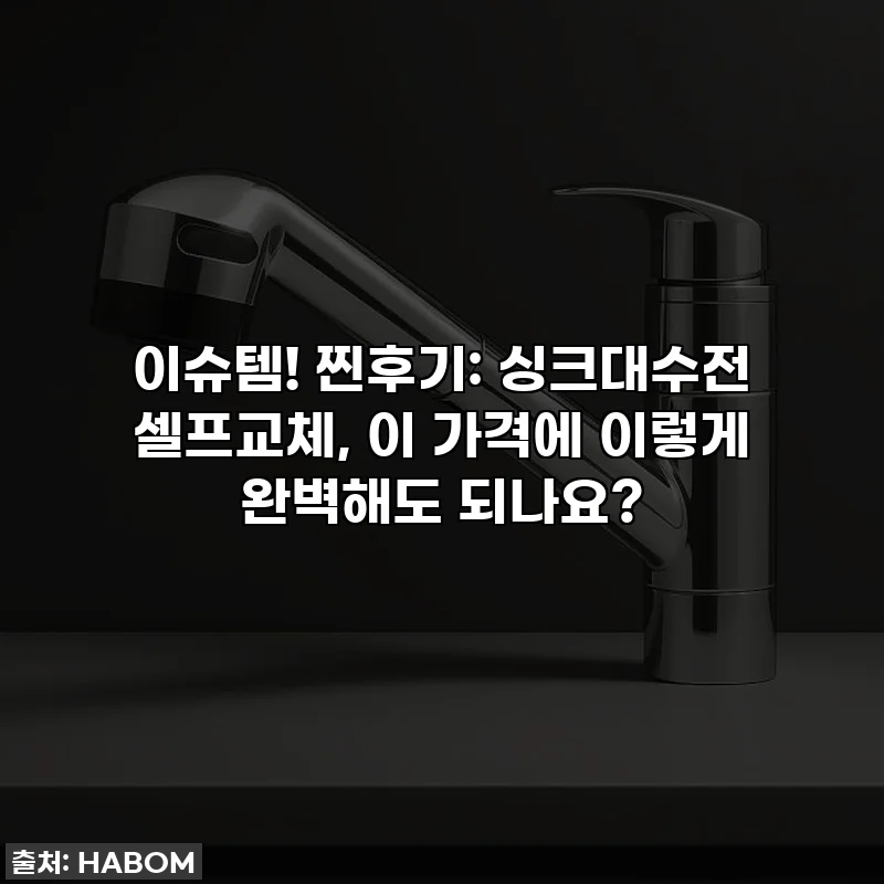이슈템! 찐후기: 싱크대수전 셀프교체, 이 가격에 이렇게 완벽해도 되나요?