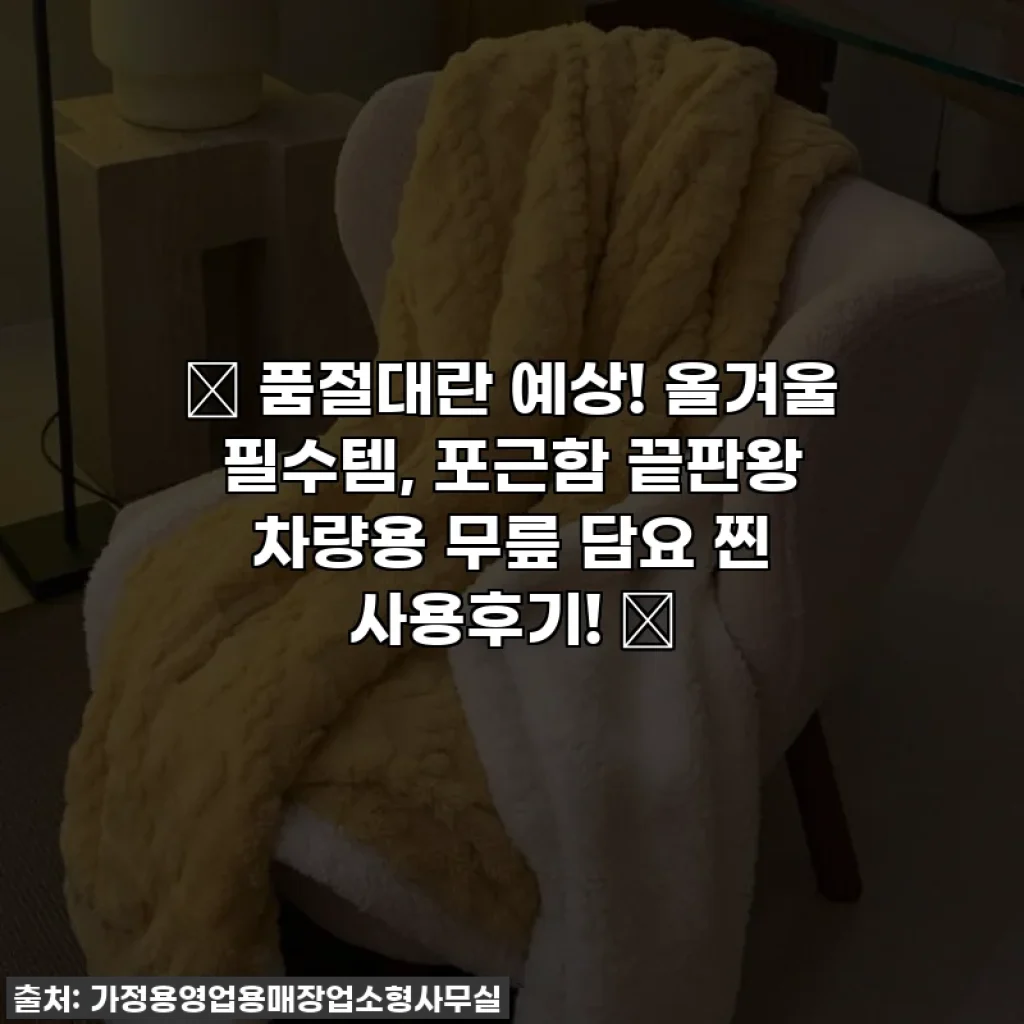 🔥 품절대란 예상! 올겨울 필수템, 포근함 끝판왕 차량용 무릎 담요 찐 사용후기! 🧣
