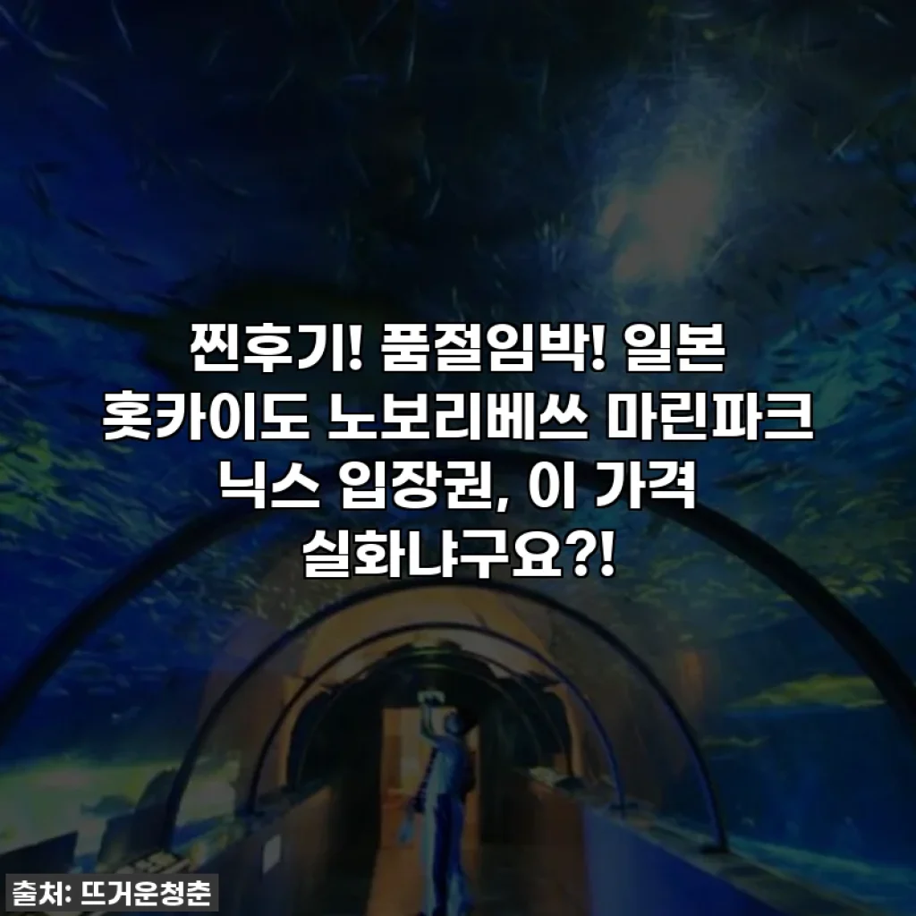 찐후기! 품절임박! 일본 홋카이도 노보리베쓰 마린파크 닉스 입장권, 이 가격 실화냐구요?!