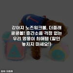 강아지 노즈워크볼, 더플래 킁킁볼! 층간소음 걱정 없는 우리 멍뭉이 최애템 (할인 놓치지 마세요!)