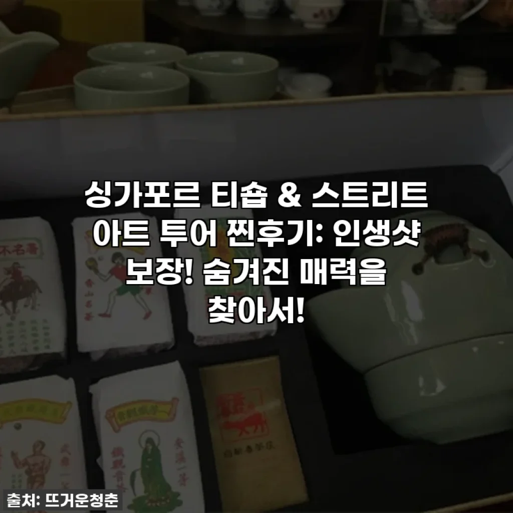 싱가포르 티숍 & 스트리트 아트 투어 찐후기: 인생샷 보장! 숨겨진 매력을 찾아서!