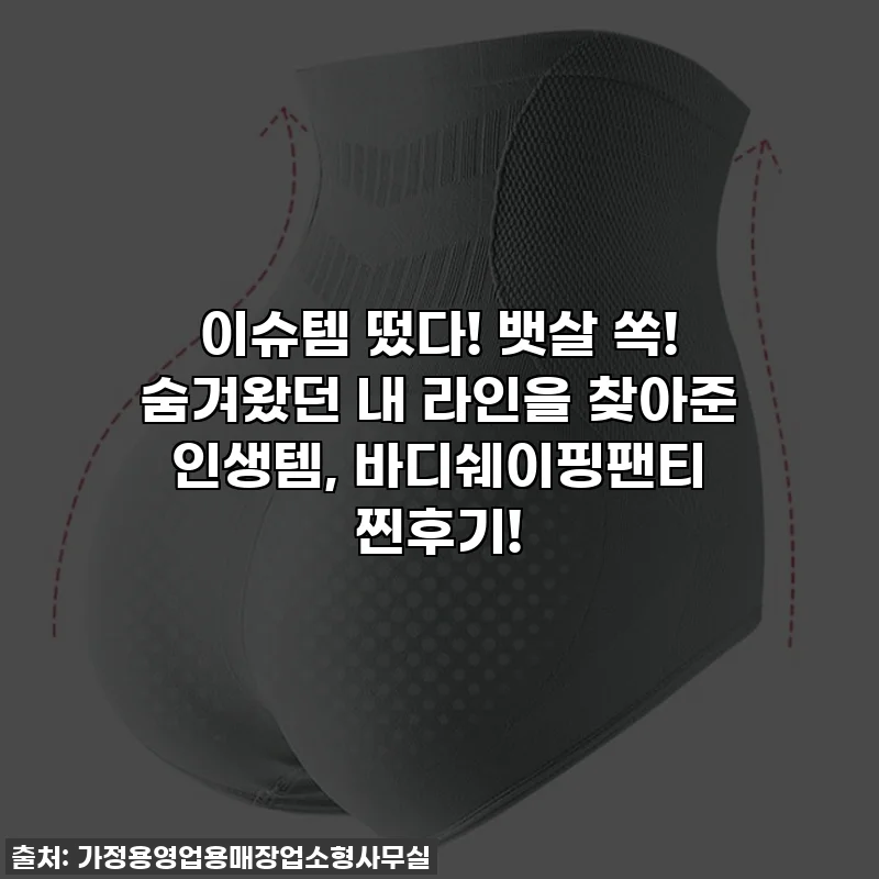이슈템 떴다! 뱃살 쏙! 숨겨왔던 내 라인을 찾아준 인생템, 바디쉐이핑팬티 찐후기!