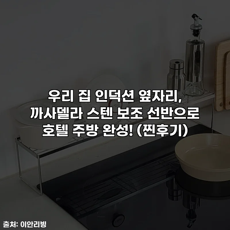 우리 집 인덕션 옆자리, 까사델라 스텐 보조 선반으로 호텔 주방 완성! (찐후기)