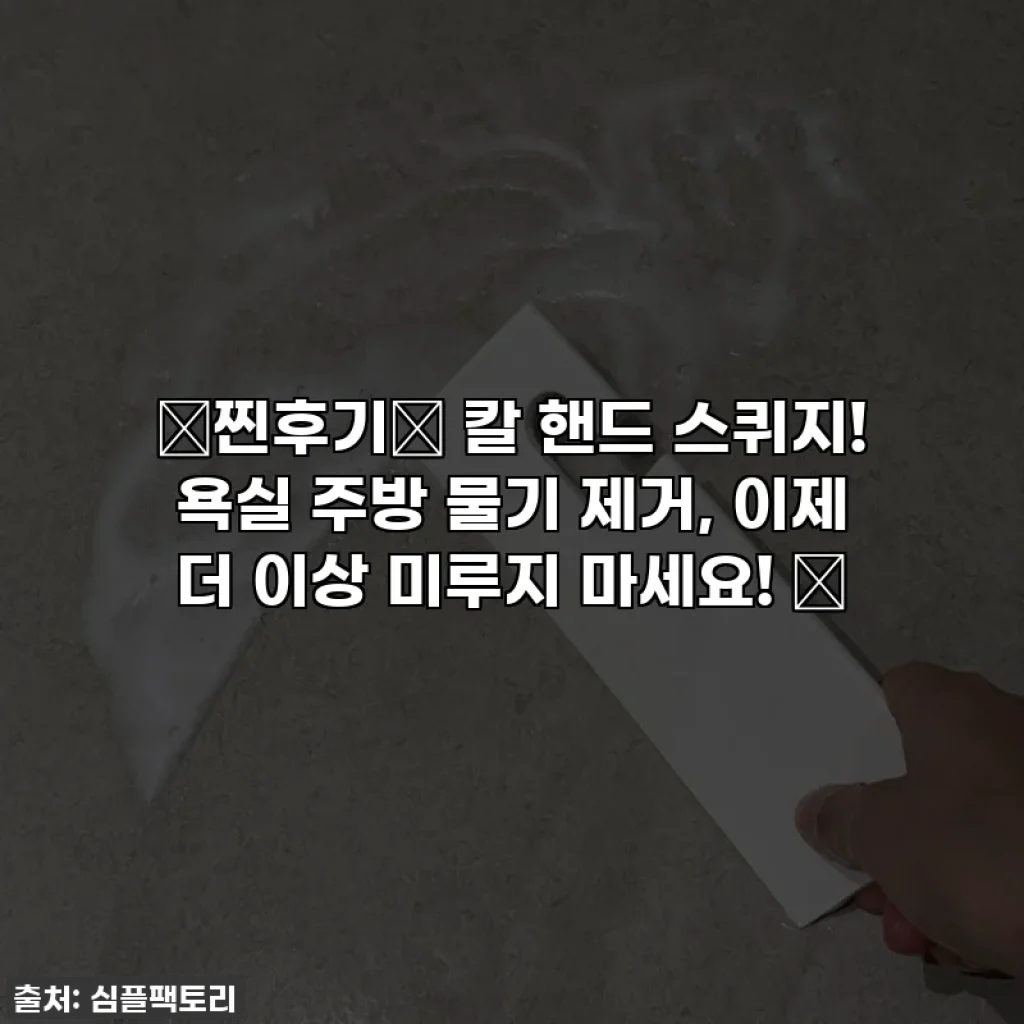 ✨찐후기✨ 칼 핸드 스퀴지! 욕실 주방 물기 제거, 이제 더 이상 미루지 마세요! 💖