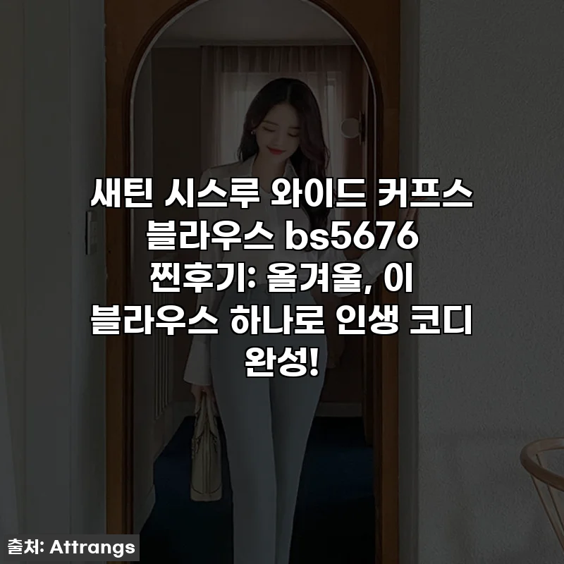 새틴 시스루 와이드 커프스 블라우스 bs5676 찐후기: 올겨울, 이 블라우스 하나로 인생 코디 완성!