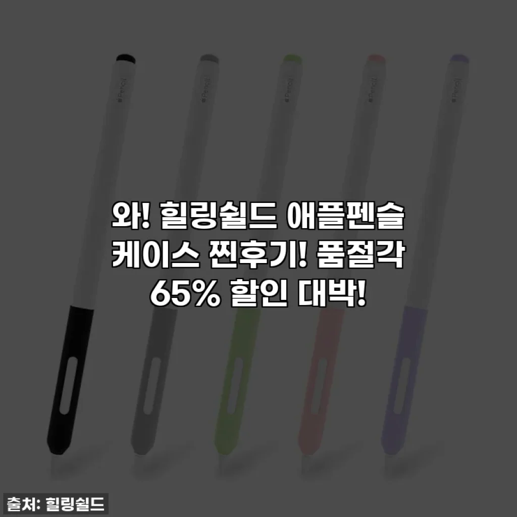 와! 힐링쉴드 애플펜슬 케이스 찐후기! 품절각 65% 할인 대박!