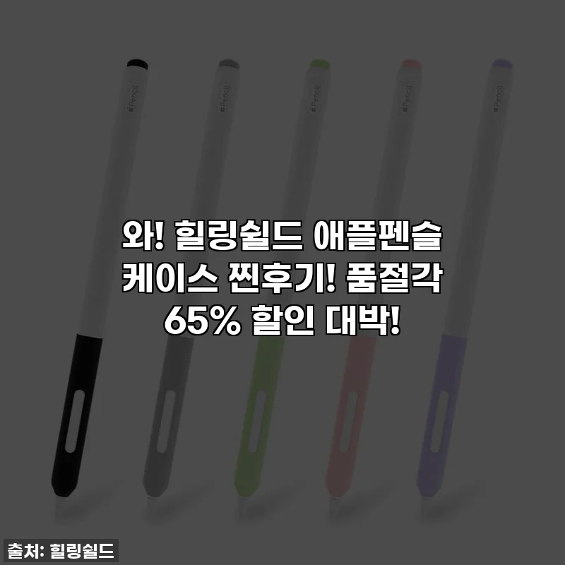 와! 힐링쉴드 애플펜슬 케이스 찐후기! 품절각 65% 할인 대박!