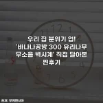 우리 집 분위기 업! '바나나공방 300 유리나무 무소음 벽시계' 직접 달아본 찐후기