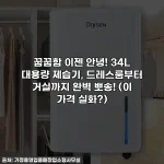 꿉꿉함 이젠 안녕! 34L 대용량 제습기, 드레스룸부터 거실까지 완벽 뽀송! (이 가격 실화?)