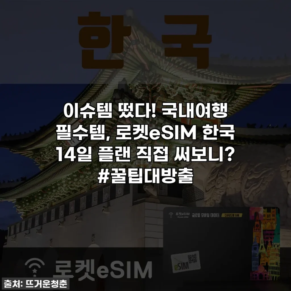 이슈템 떴다! 국내여행 필수템, 로켓eSIM 한국 14일 플랜 직접 써보니? #꿀팁대방출