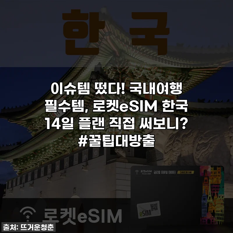 이슈템 떴다! 국내여행 필수템, 로켓eSIM 한국 14일 플랜 직접 써보니? #꿀팁대방출