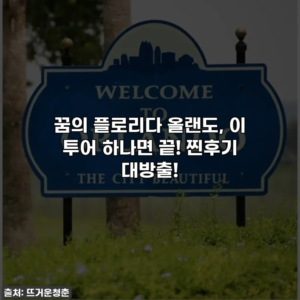 꿈의 플로리다 올랜도, 이 투어 하나면 끝! 찐후기 대방출!