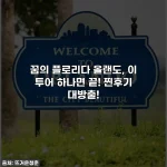 꿈의 플로리다 올랜도, 이 투어 하나면 끝! 찐후기 대방출!