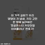 Home 56 이 가격 실화?! 우리 댕댕이 귀 냄새, 귀지 고민 한 방에 날려버린 '정글몬스터 카모마일 이어클리너' 찐후기!